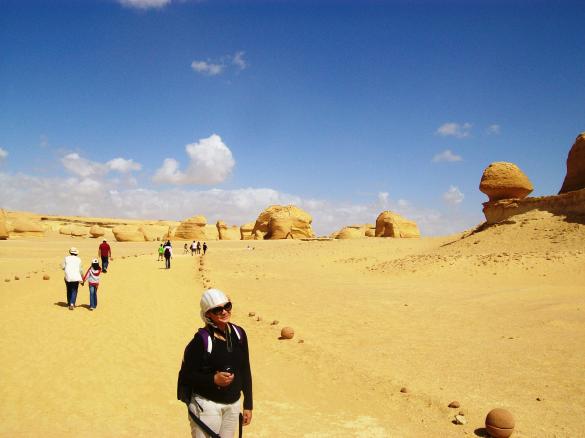 Landscape of the Valley of the Whales